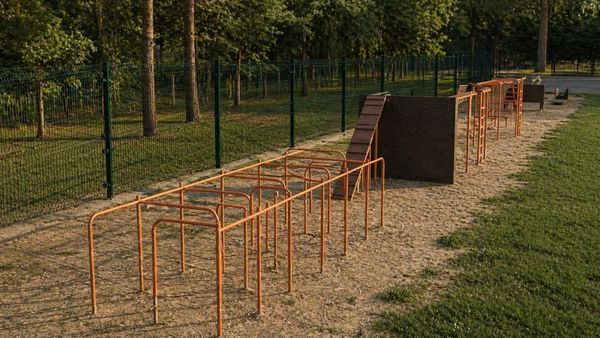 Спортивная полоса препятствий